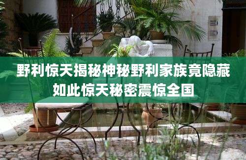 野利惊天揭秘神秘野利家族竟隐藏如此惊天秘密震惊全国