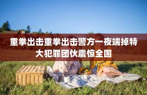 重拳出击重拳出击警方一夜端掉特大犯罪团伙震惊全国