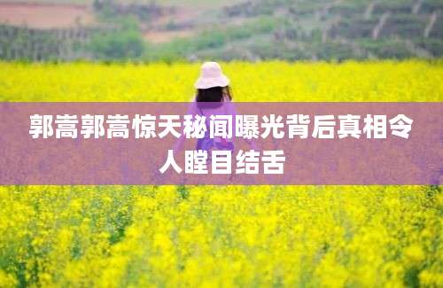 郭嵩郭嵩惊天秘闻曝光背后真相令人瞠目结舌