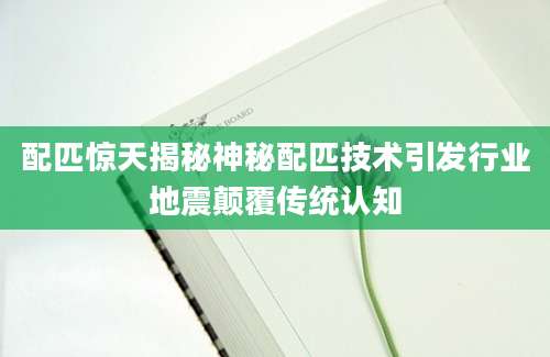 配匹惊天揭秘神秘配匹技术引发行业地震颠覆传统认知