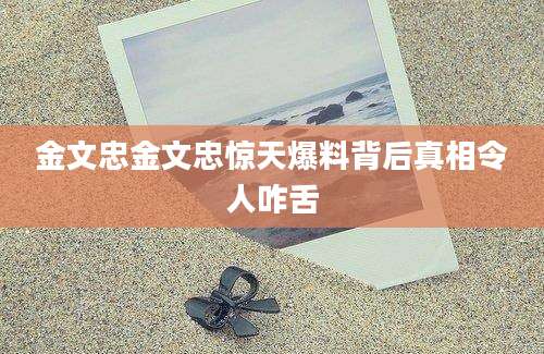 金文忠金文忠惊天爆料背后真相令人咋舌