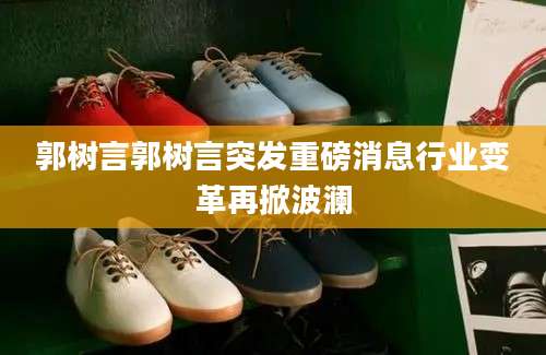 郭树言郭树言突发重磅消息行业变革再掀波澜