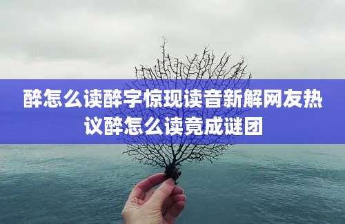 醉怎么读醉字惊现读音新解网友热议醉怎么读竟成谜团