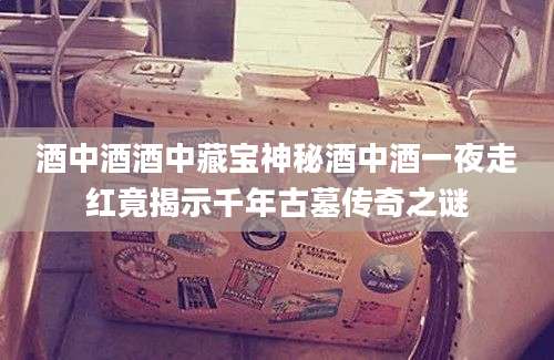酒中酒酒中藏宝神秘酒中酒一夜走红竟揭示千年古墓传奇之谜