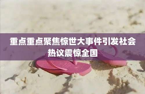 重点重点聚焦惊世大事件引发社会热议震惊全国
