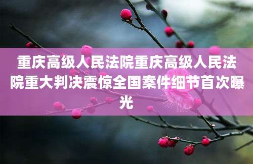 重庆高级人民法院重庆高级人民法院重大判决震惊全国案件细节首次曝光