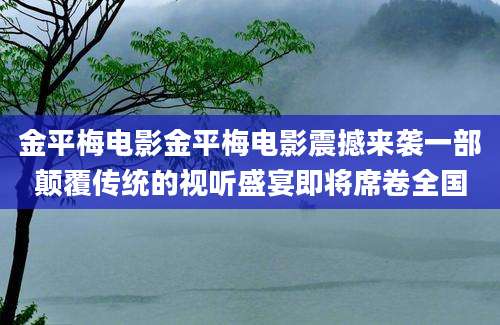 金平梅电影金平梅电影震撼来袭一部颠覆传统的视听盛宴即将席卷全国