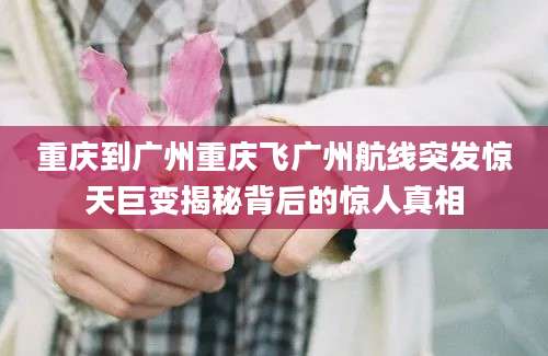 重庆到广州重庆飞广州航线突发惊天巨变揭秘背后的惊人真相