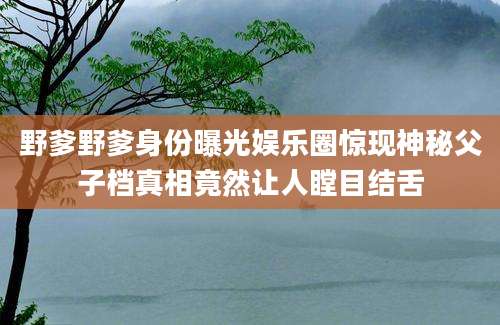 野爹野爹身份曝光娱乐圈惊现神秘父子档真相竟然让人瞠目结舌