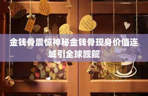 金钱骨震惊神秘金钱骨现身价值连城引全球觊觎