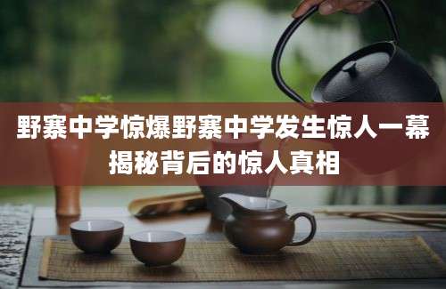 野寨中学惊爆野寨中学发生惊人一幕揭秘背后的惊人真相
