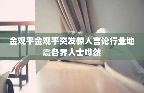 金观平金观平突发惊人言论行业地震各界人士哗然