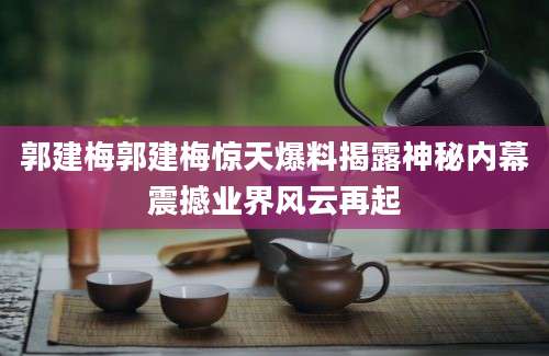 郭建梅郭建梅惊天爆料揭露神秘内幕震撼业界风云再起
