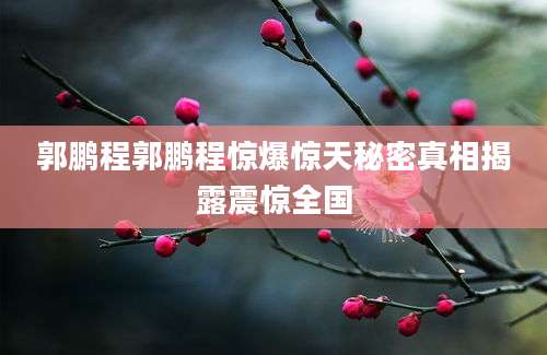 郭鹏程郭鹏程惊爆惊天秘密真相揭露震惊全国