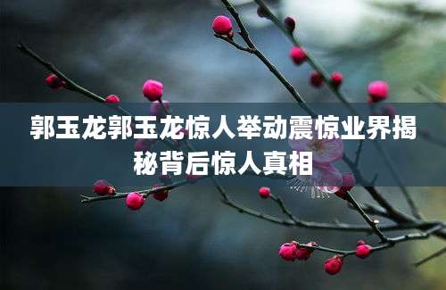郭玉龙郭玉龙惊人举动震惊业界揭秘背后惊人真相