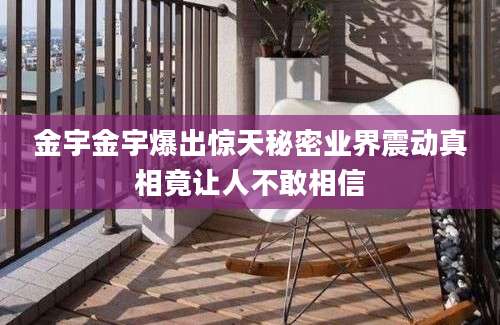 金宇金宇爆出惊天秘密业界震动真相竟让人不敢相信