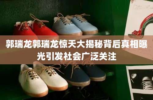 郭瑞龙郭瑞龙惊天大揭秘背后真相曝光引发社会广泛关注