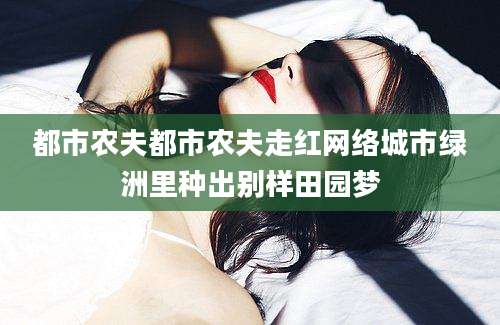 都市农夫都市农夫走红网络城市绿洲里种出别样田园梦