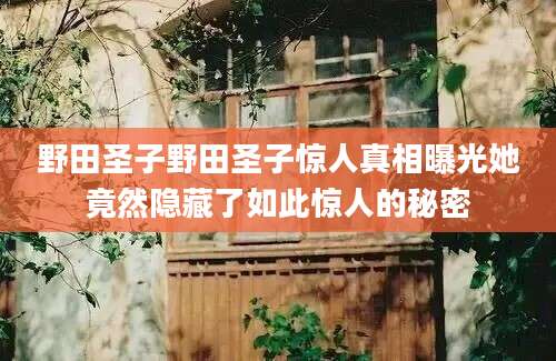 野田圣子野田圣子惊人真相曝光她竟然隐藏了如此惊人的秘密