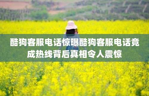 酷狗客服电话惊曝酷狗客服电话竟成热线背后真相令人震惊