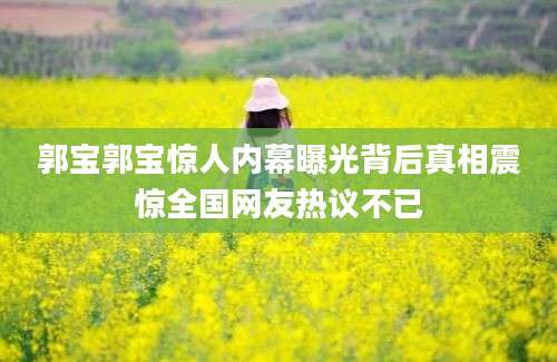 郭宝郭宝惊人内幕曝光背后真相震惊全国网友热议不已