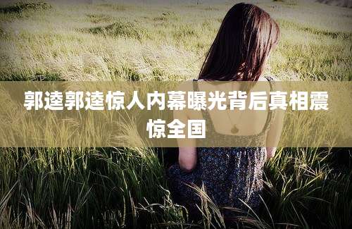 郭逵郭逵惊人内幕曝光背后真相震惊全国