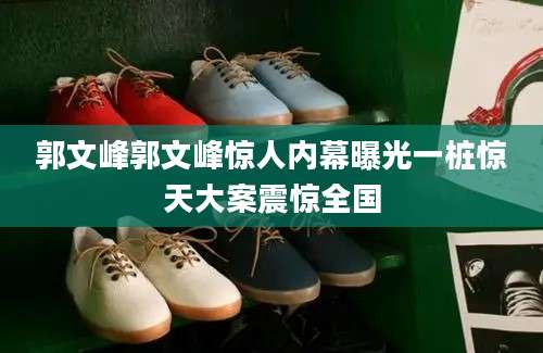 郭文峰郭文峰惊人内幕曝光一桩惊天大案震惊全国