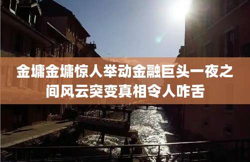 金墉金墉惊人举动金融巨头一夜之间风云突变真相令人咋舌