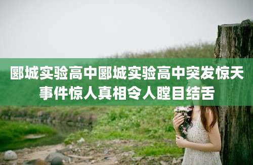 郾城实验高中郾城实验高中突发惊天事件惊人真相令人瞠目结舌