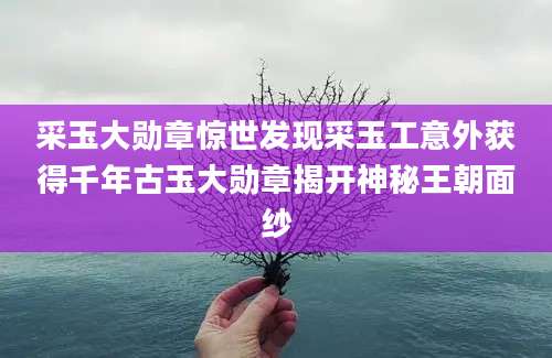 采玉大勋章惊世发现采玉工意外获得千年古玉大勋章揭开神秘王朝面纱