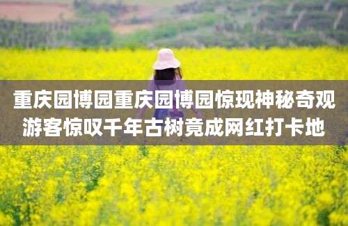 重庆园博园重庆园博园惊现神秘奇观游客惊叹千年古树竟成网红打卡地
