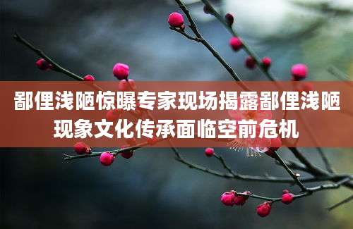 鄙俚浅陋惊曝专家现场揭露鄙俚浅陋现象文化传承面临空前危机