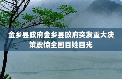 金乡县政府金乡县政府突发重大决策震惊全国百姓目光