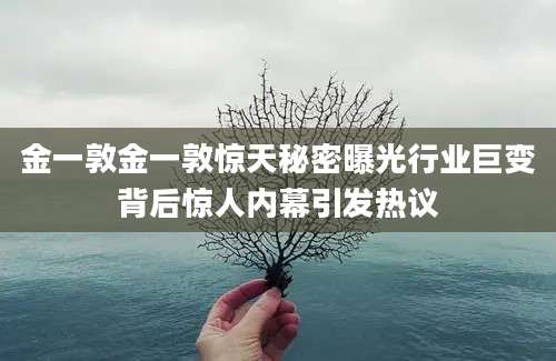 金一敦金一敦惊天秘密曝光行业巨变背后惊人内幕引发热议