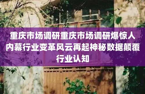 重庆市场调研重庆市场调研爆惊人内幕行业变革风云再起神秘数据颠覆行业认知