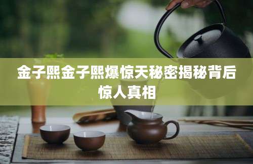 金子熙金子熙爆惊天秘密揭秘背后惊人真相