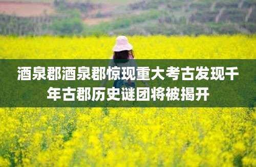 酒泉郡酒泉郡惊现重大考古发现千年古郡历史谜团将被揭开