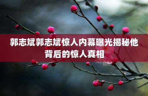 郭志斌郭志斌惊人内幕曝光揭秘他背后的惊人真相