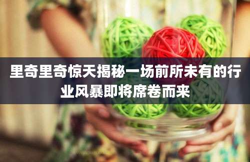 里奇里奇惊天揭秘一场前所未有的行业风暴即将席卷而来
