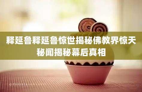 释延鲁释延鲁惊世揭秘佛教界惊天秘闻揭秘幕后真相