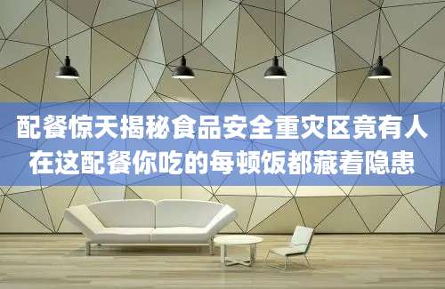 配餐惊天揭秘食品安全重灾区竟有人在这配餐你吃的每顿饭都藏着隐患