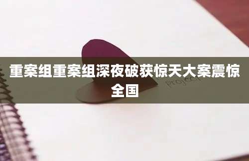 重案组重案组深夜破获惊天大案震惊全国