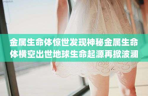 金属生命体惊世发现神秘金属生命体横空出世地球生命起源再掀波澜