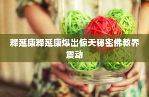 释延康释延康爆出惊天秘密佛教界震动