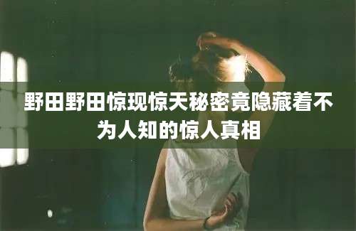 野田野田惊现惊天秘密竟隐藏着不为人知的惊人真相