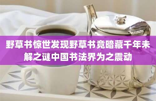 野草书惊世发现野草书竟暗藏千年未解之谜中国书法界为之震动