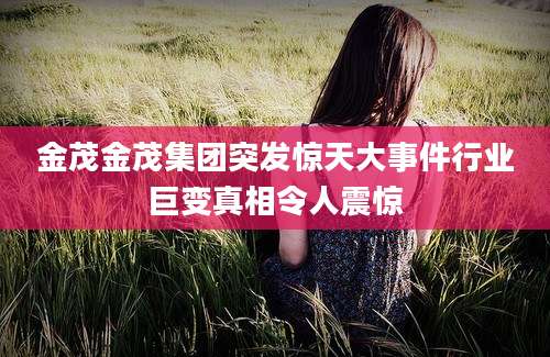金茂金茂集团突发惊天大事件行业巨变真相令人震惊