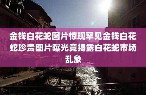金钱白花蛇图片惊现罕见金钱白花蛇珍贵图片曝光竟揭露白花蛇市场乱象