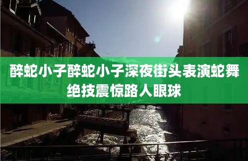 醉蛇小子醉蛇小子深夜街头表演蛇舞绝技震惊路人眼球