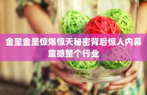 金呈金呈惊爆惊天秘密背后惊人内幕震撼整个行业